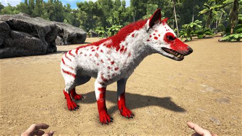 Ark hyaenodon - Fish are one type of many creatures to be found in ARK: Survival Evolved. There are 480 Fish, 475 of them released and 5 yet to be released (including variants). ... Spirit) • Direwolf • Doedicurus • Equus • Gigantopithecus • Hyaenodon • Human • Jerboa • Lystrosaurus • Mammoth • Megaloceros • Megatherium • Mesopithecus • Moschops • Onyc • Otter • …